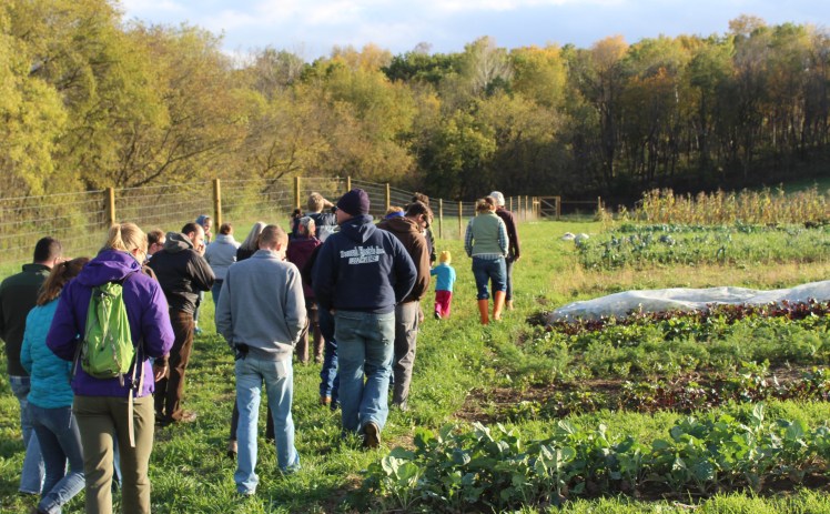 Crowd tours vegetables